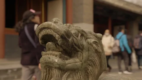 Stone Lion Statue and Visitors in Courtyard at Lama Temple, Beijing, China Stock Footage 345685477