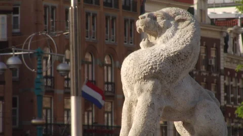Stone lion statue Stock Footage 241353563