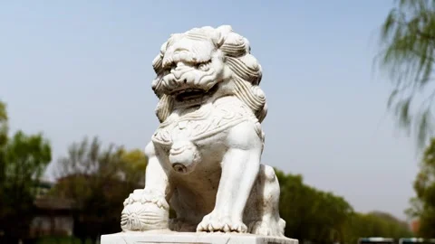 Stone lion statue slow motion Stock Footage 242083119