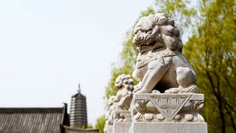 Stone lion statue surrounded by temples and tall trees in the background Stock Footage 238072100