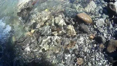 Stone Live on the river on summer hour Stock Footage 146259568