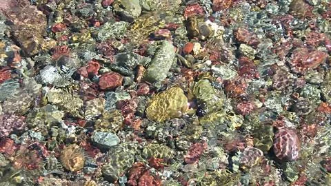 Stone Macro Stock Photos