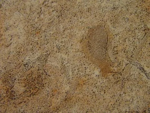 Stone Macro Stock Photos