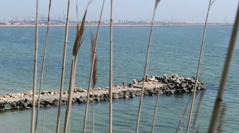 Stone Made Pier at Sea Video stock 46127537