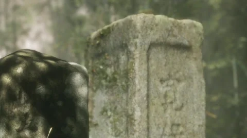 Stone marker stands in a forest with sunlight filtering through tree branches 스톡 동영상 339492960