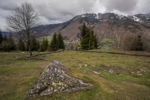 Stone on meadow with trees in background Stock Photos