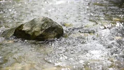 Stone in the middle of a river, the water flows down a stream Stock Footage 152649724