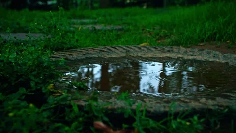 Stone mill in the grass - raindrops Stock Footage 257862443