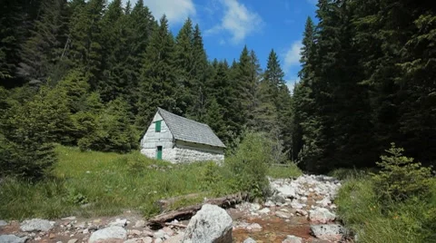 Stone mill near small mountain stream surrounded with pine forest. Stock Footage 8559611