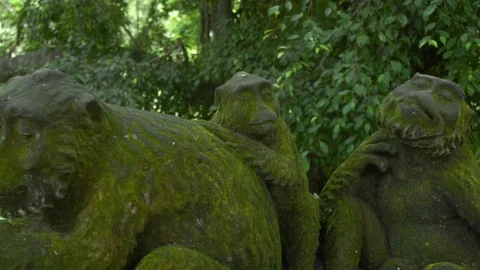 Stone monkeys overgrown in the rainforest of Ubud, Bali. Stock Footage 104348406