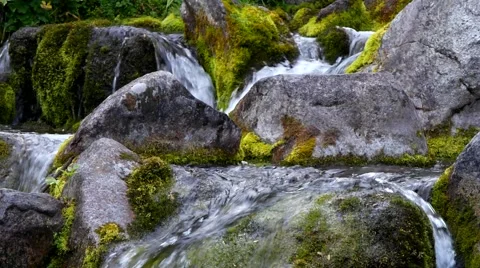 Stone, moss and river. Stock Footage 40414500