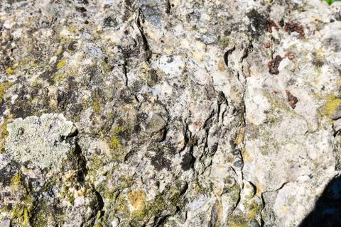 Stone with moss at close range Stock Photos