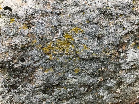 Stone with moss. Stock Photos