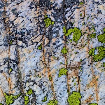 Stone with moss Stock Photos