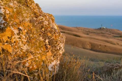 Stone with moss at sunset Stock-Fotos