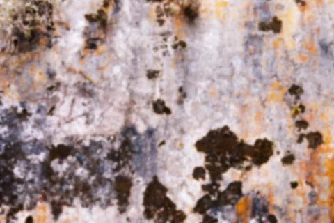Stone mossy wall Stock Photos
