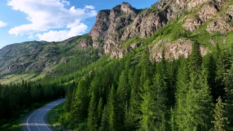 Stone mountain close-up in the summer. Rock with woodland Stock Footage 235458531