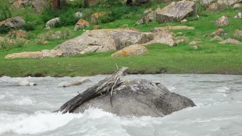 Stone in the Mountain River 動画素材 138867214