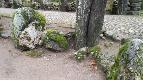 Stone Museum. Mosėdis Stock Footage 167559605