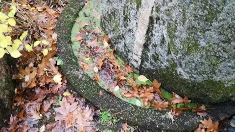 Stone Museum. Mosėdis Stock Footage 167559606
