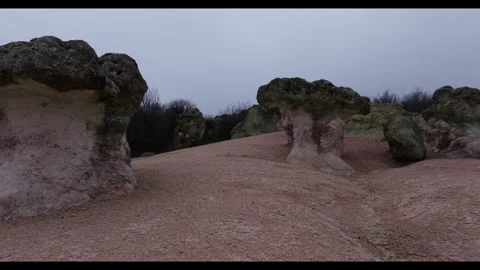 Stone Mushrooms Video stock 329767862