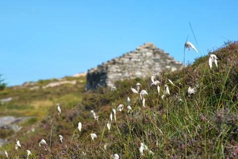 Stone old barn Stock Photos