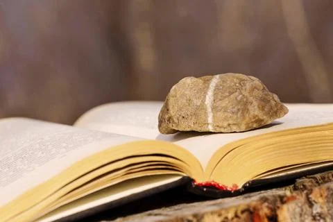 Stone on an open book put on cut tree. The sun rays warm the soft background Stock Photos