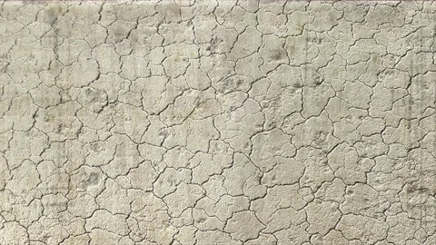 Stone or concrete texture surface eroding cracking and covered with moss Stock Footage 162403989