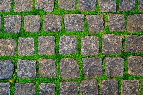 Stone or rock old road covered by green moss and grass texture background Stock Photos