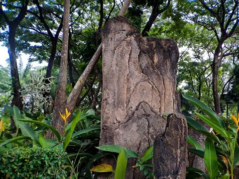 Stone ornament in the form of a tree cut made of cement shot in the garden sq Stock Photos