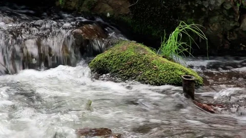 Stone Overgrown By Moss In Cold River . Rapid Water Flows Stock Footage 76939626