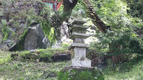 A stone pagoda in the forest Видео 306033990