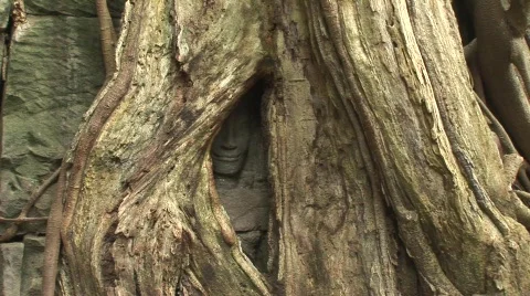 Stone panel Stock Footage 522268