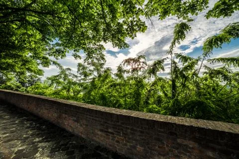 Stone parapet in the trees Foto stock