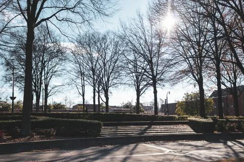 Stone park with trees Stock Photos