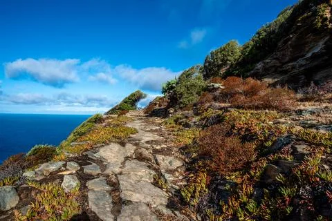 Stone path along coastal hillside Stock Photos