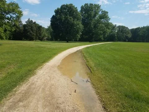 Stone path and green grass and mud puddle Stock Photos