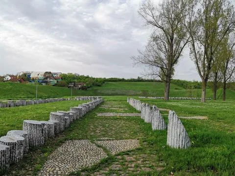 Stone path and trees in grassy park Stock-Fotos
