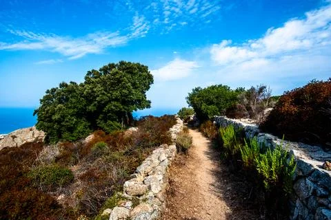 Stone path and trees overlooking sea in Corsica Stock Photos