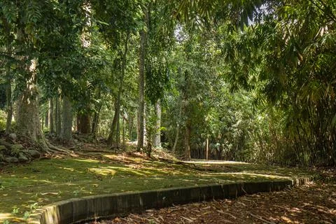 Stone path around the trees in the park Stock Photos