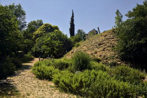 Stone path bordered by bushes and trees in a park on a sunny day Stock Photos