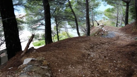 Stone path with bushes and trees around, camera moves as man walks Stock Footage 97741382