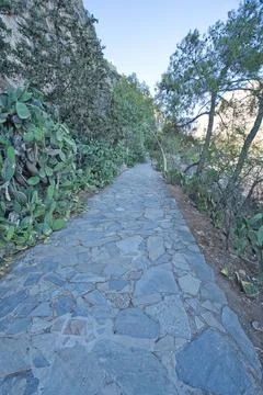 Stone path with cactus and pine trees in Nafplio, Peloponnese, Greece.. 스톡 사진