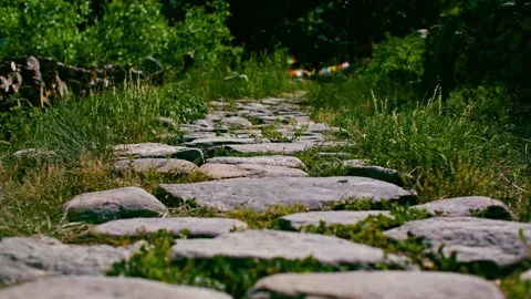 A stone path covered with grass. 스톡 동영상 294029048