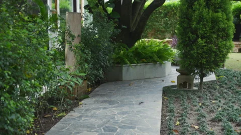 Stone path curves gently through Asian resort garden, mango tree and gazebo Stock Footage 270529463