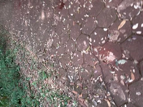 Stone Path with Dry Leaves Stock Photos