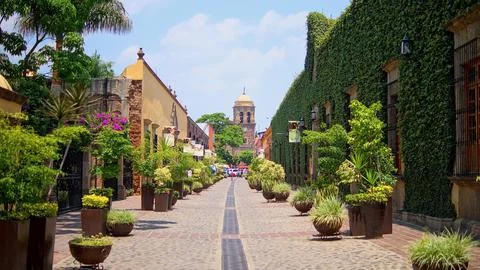 Stone path with flower pots on the sides, colonial mansions with vines all along Stock Photos