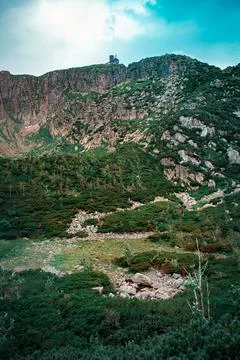 A stone path in forest Foto stock