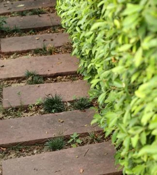 Stone path in the garden Stock-Fotos