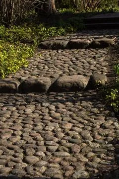Stone path in the garden Stock Photos